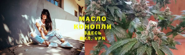 дмт Алзамай