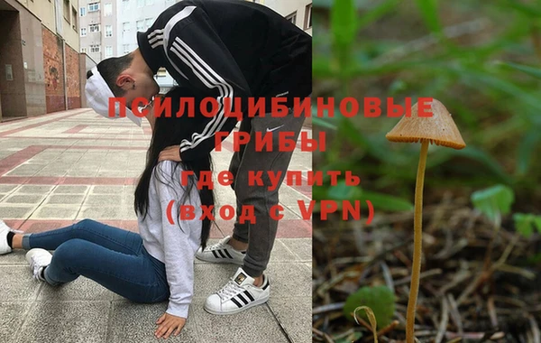 гидропоника Алексеевка