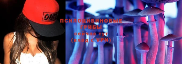 дмт Алзамай