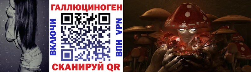 закладка  Кинель  Псилоцибиновые грибы GOLDEN TEACHER 