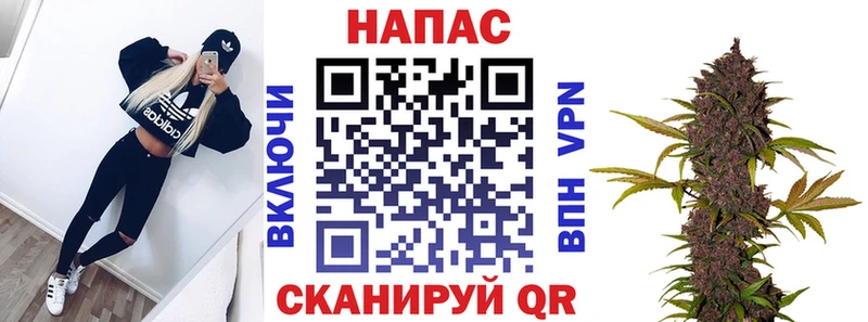 закладки  Кинель  Каннабис сатива 